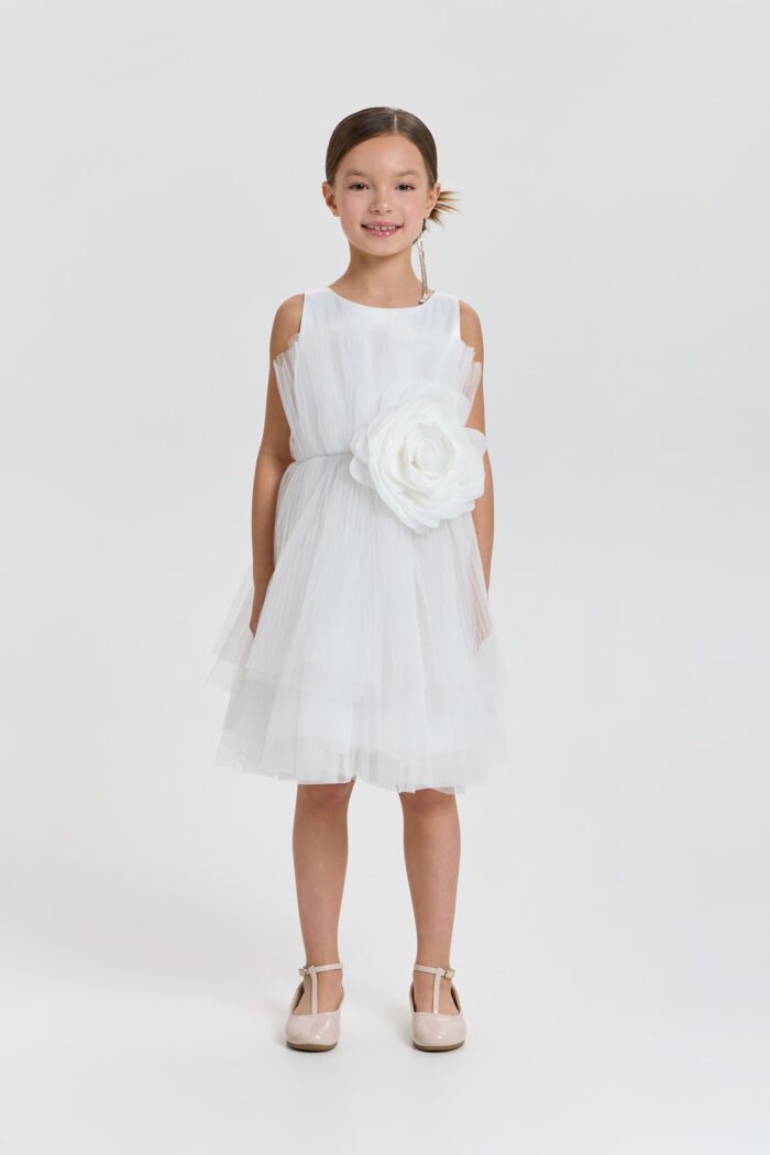 Dressy Dress