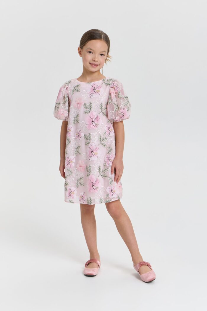 Dressy Dress