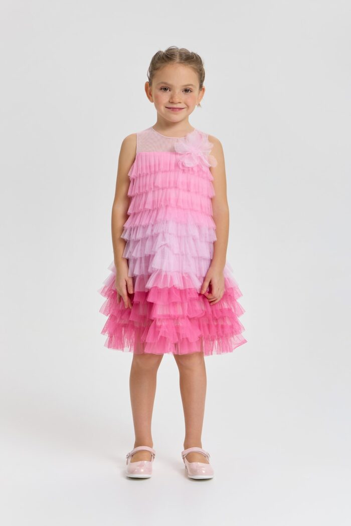 Dressy Dress
